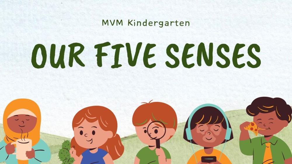 SENSE ORGANS ACTIVITY 2026-2027