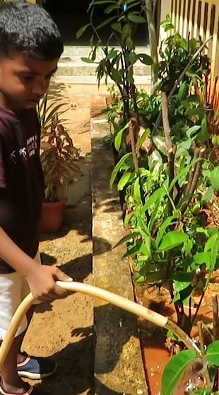 More from WORLD ENVIRONMENT DAY 2026-2027