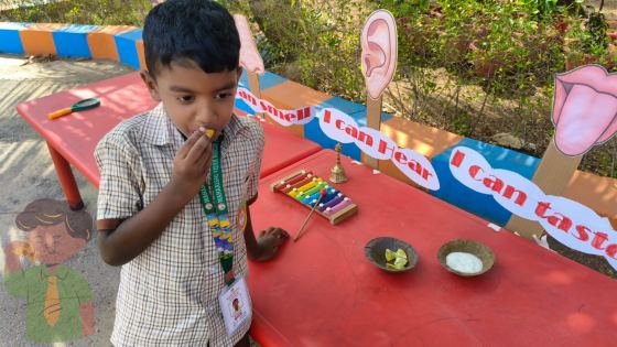 More from SENSE ORGANS ACTIVITY 2026-2027