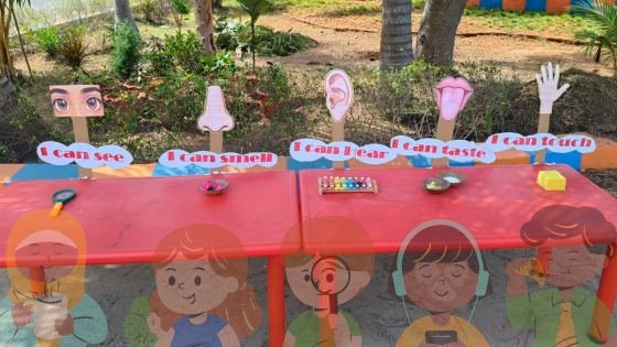 More from SENSE ORGANS ACTIVITY 2026-2027