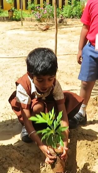 More from WORLD ENVIRONMENT DAY 2026-2027